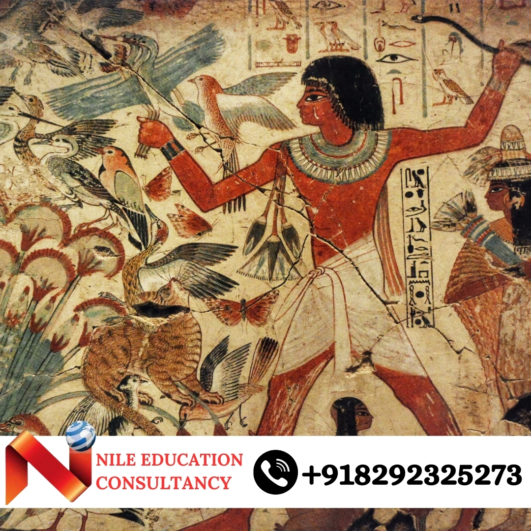 Kafrelsheikh University Lab